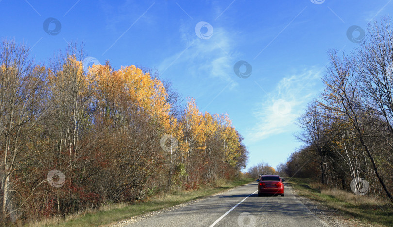 Скачать Дорога в окружении осенних деревьев фотосток Ozero