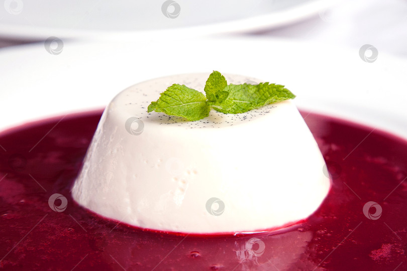 Скачать Десерт - панна котта с мятой и фруктовым сиропом. Европейская кухня. фотосток Ozero