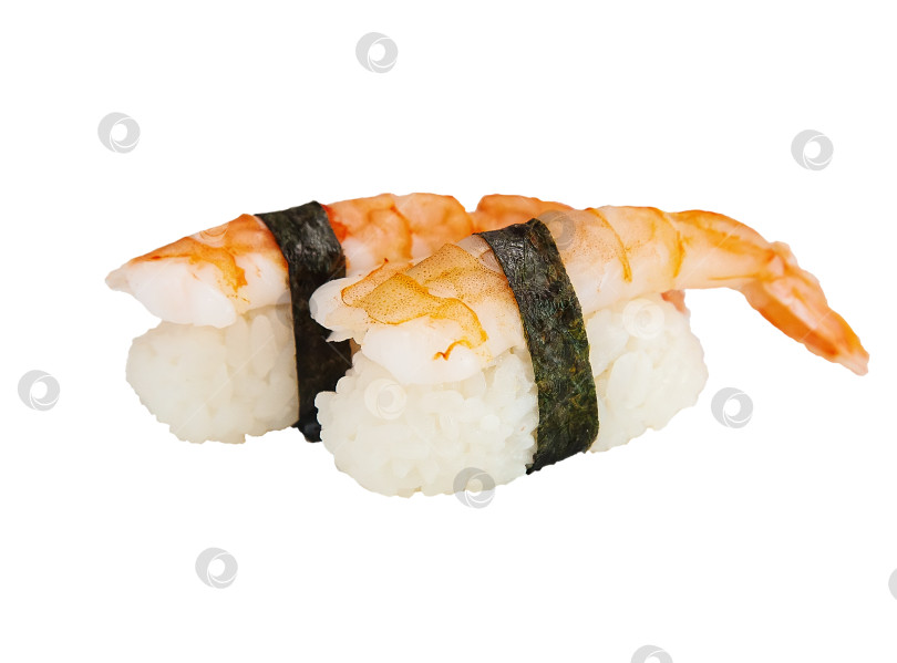 Скачать Свежие суши - традиционная японская еда на белом фоне фотосток Ozero