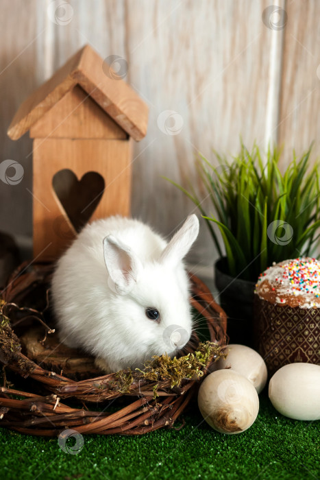 Скачать Белый пасхальный кролик. Пасхальные куличи со свечами и празднично украшенные яйца. фотосток Ozero