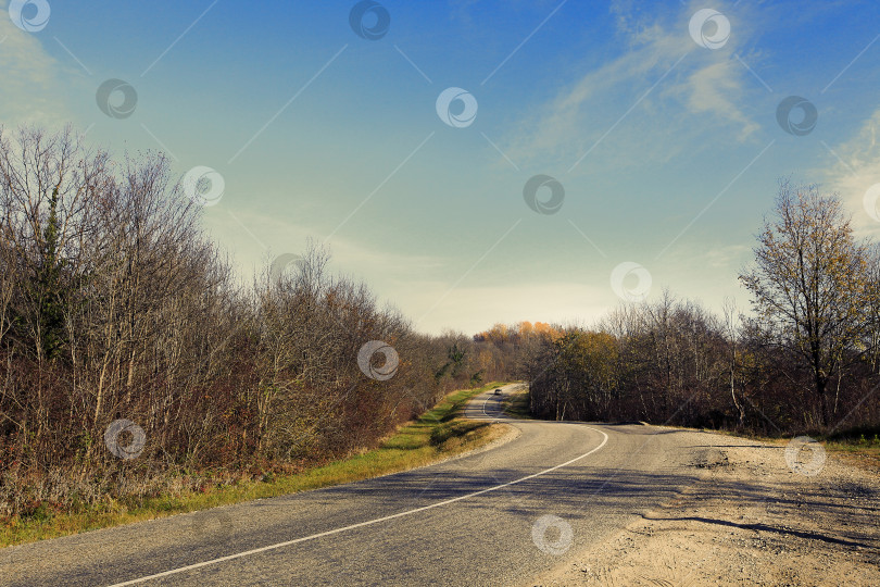 Скачать Дорога в окружении осенних деревьев фотосток Ozero