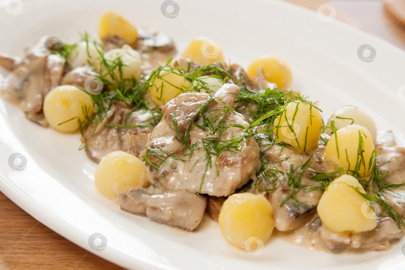 Скачать Свинина с картофелем и белым соусом фотосток Ozero