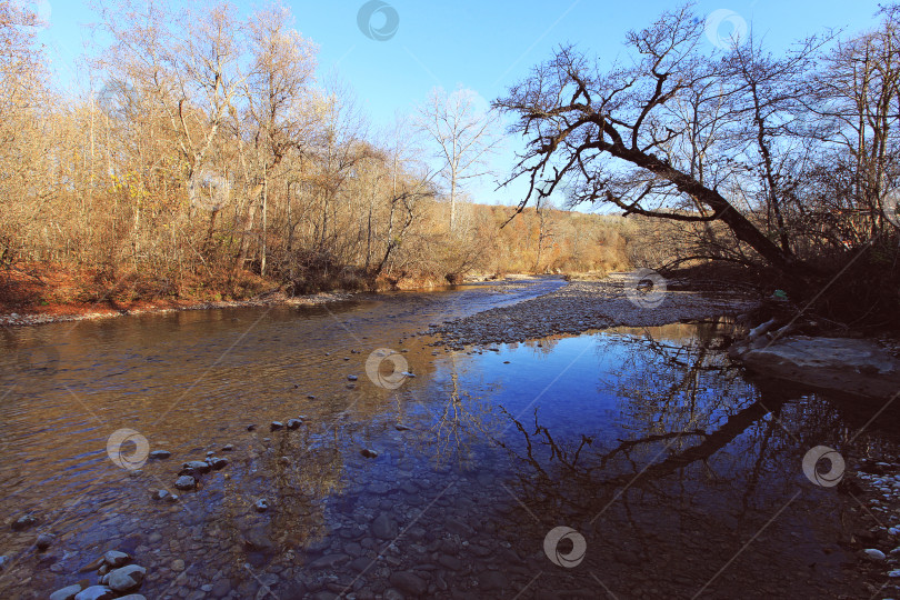Скачать Река осенью фотосток Ozero