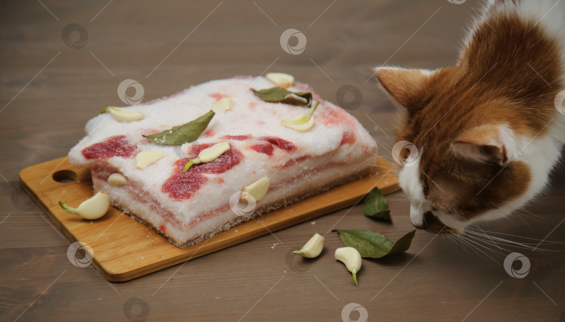 Скачать Рыжий кот обнюхивает кусочек свиного сала фотосток Ozero