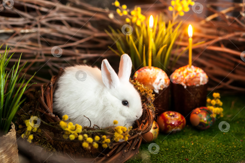 Скачать Белый пасхальный кролик. Пасхальные куличи со свечами и празднично украшенные яйца. фотосток Ozero
