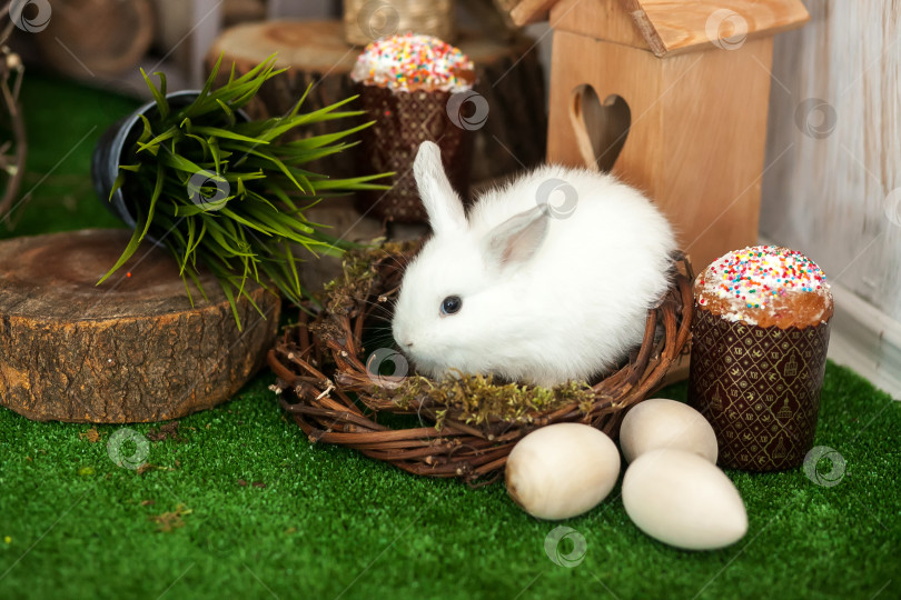 Скачать Белый пасхальный кролик. Пасхальные куличи со свечами и празднично украшенные яйца. фотосток Ozero
