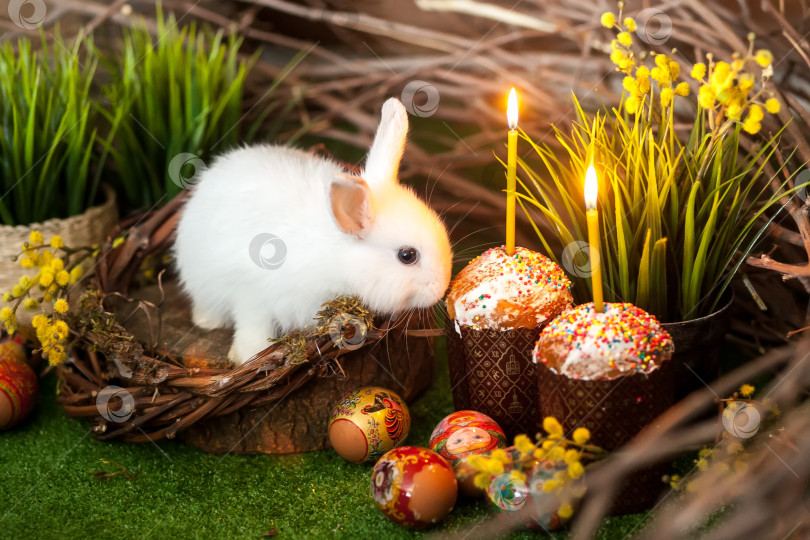 Скачать Белый пасхальный кролик. Пасхальные куличи со свечами и празднично украшенные яйца. фотосток Ozero