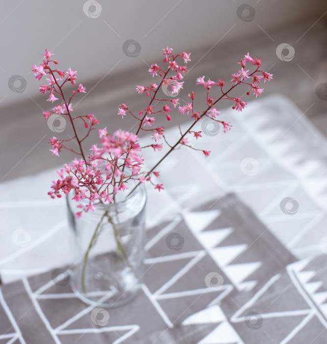 Скачать Розовые цветы в стеклянной банке на светло-сером фоне. День матери. Весенний фон. фотосток Ozero