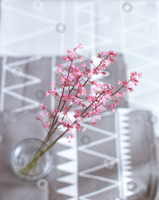 Скачать Розовые цветы в стеклянной банке на светло-сером фоне. День матери. Весенний фон. фотосток Ozero