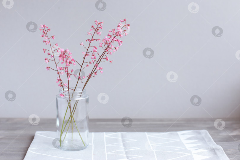 Скачать Розовые цветы в стеклянной банке на светло-сером фоне. День матери. Весенний фон. фотосток Ozero