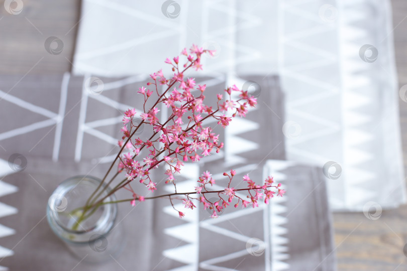 Скачать Розовые цветы в стеклянной банке на светло-сером фоне. День матери. Весенний фон. фотосток Ozero