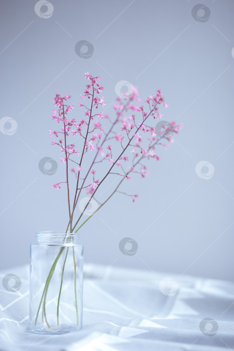 Скачать Розовые цветы в стеклянной банке на светло-сером фоне. День матери. Весенний фон. фотосток Ozero