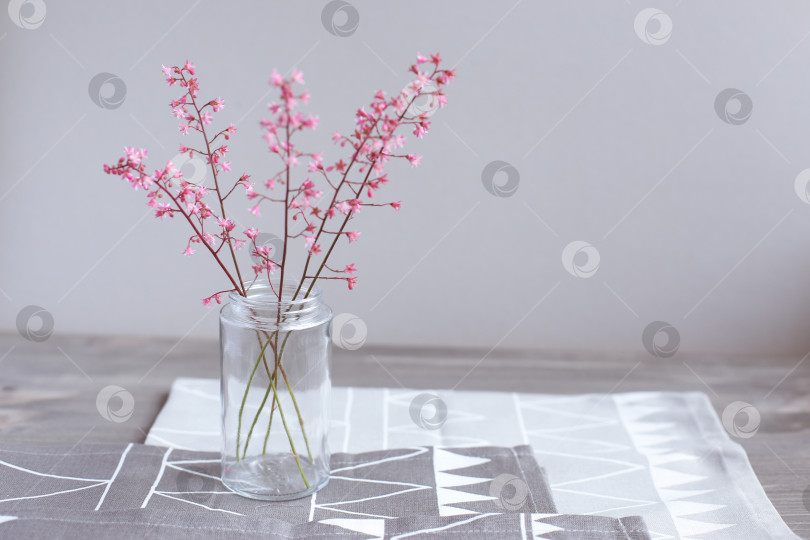 Скачать Розовые цветы в стеклянной банке на светло-сером фоне. День матери. Весенний фон. фотосток Ozero