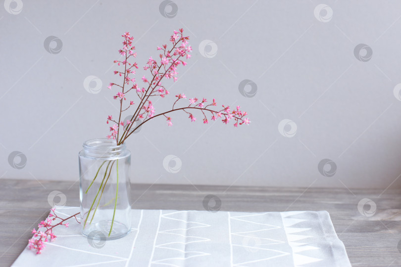 Скачать Розовые цветы в стеклянной банке на светло-сером фоне. День матери. Весенний фон. фотосток Ozero