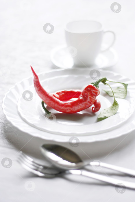 Скачать Красный перец чили на белой тарелке. Острое диетическое блюдо для фитнеса фотосток Ozero