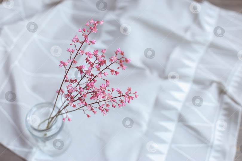 Скачать Розовые цветы в стеклянной банке на светло-сером фоне. День матери. Весенний фон. фотосток Ozero