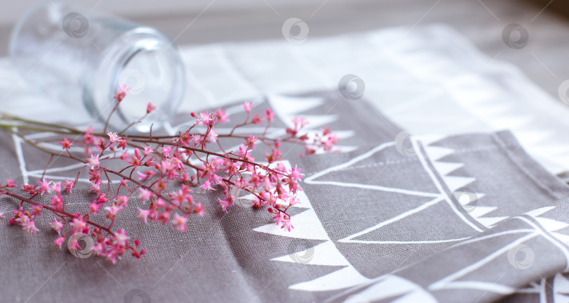 Скачать Розовые цветы в стеклянной банке на светло-сером фоне. День матери. Весенний фон. фотосток Ozero