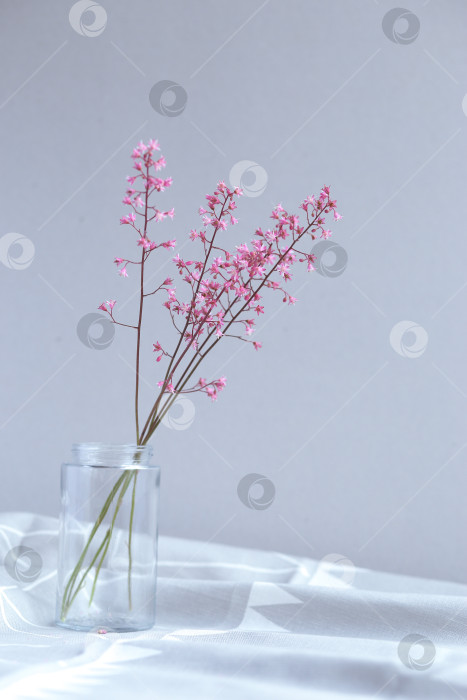 Скачать Розовые цветы в стеклянной банке на светло-сером фоне. День матери. Весенний фон. фотосток Ozero