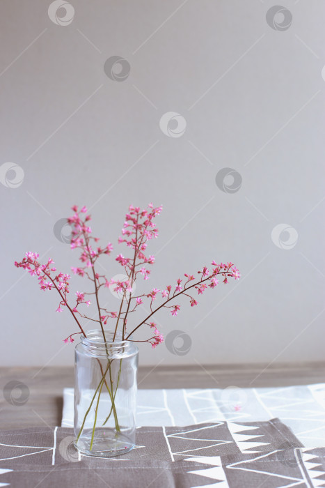 Скачать Розовые цветы в стеклянной банке на светло-сером фоне. День матери. Весенний фон. фотосток Ozero
