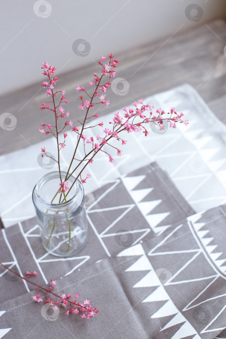 Скачать Розовые цветы в стеклянной банке на светло-сером фоне. День матери. Весенний фон. фотосток Ozero