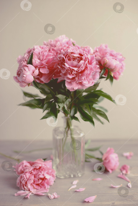 Скачать Цветочная композиция.  Цветы розового пиона на деревянном фоне. День матери. Плоская композиция, вид сверху. фотосток Ozero