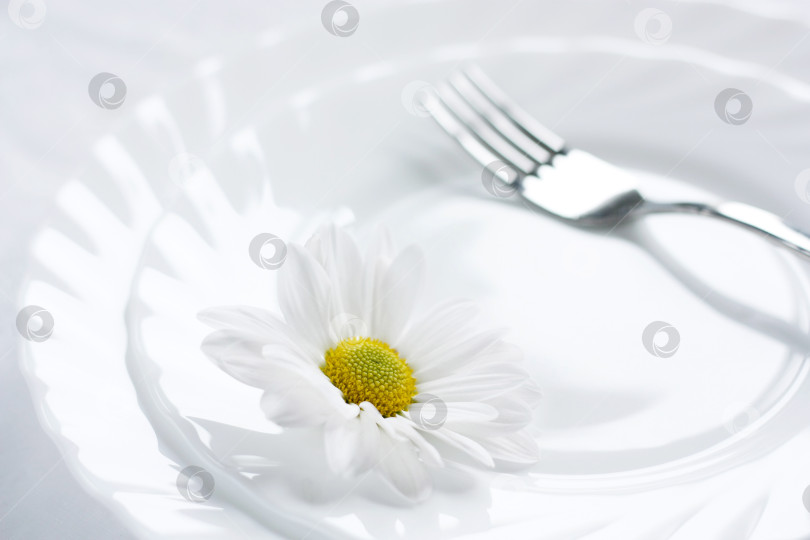 Скачать Цветок на белой тарелке. Концепция похудения и диеты. Ноль калорий фотосток Ozero
