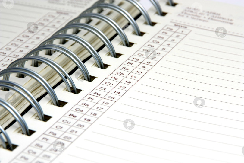 Скачать Дневник крупным планом. Расписание деловых встреч и важные концептуальные заметки. График. фотосток Ozero