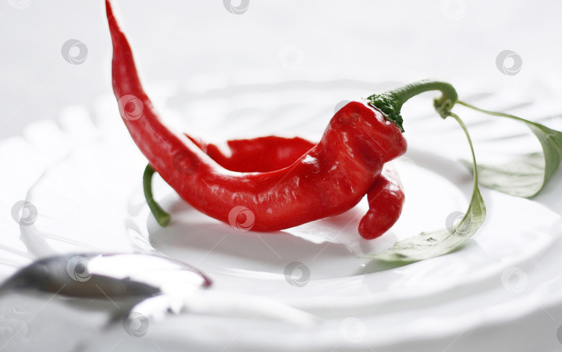 Скачать Красный перец чили на белой тарелке. Острое диетическое блюдо для фитнеса фотосток Ozero
