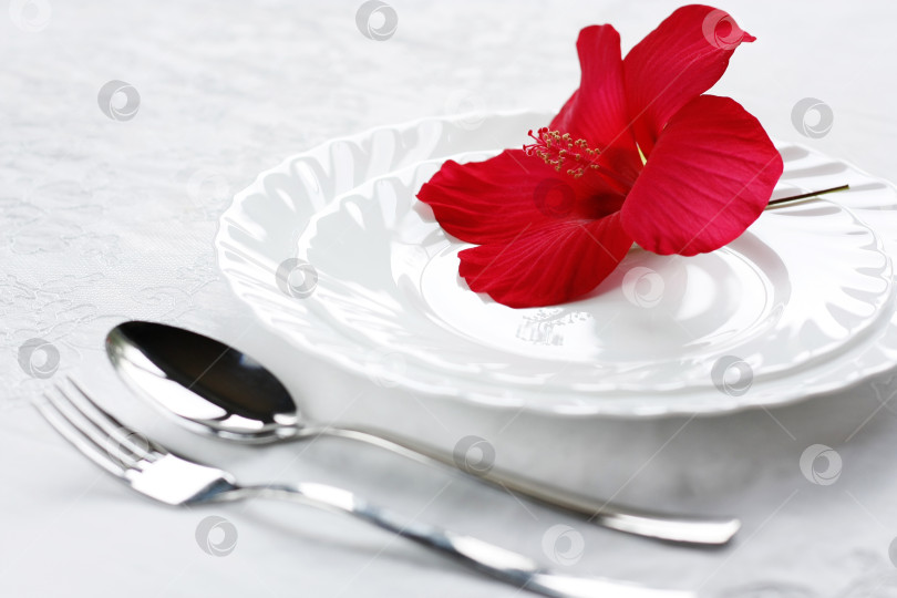 Скачать Цветок на белой тарелке. Концепция похудения и диеты. Ноль калорий фотосток Ozero