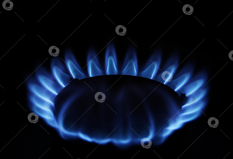 Скачать Газовая горелка на домашней плите крупным планом. Газ пропан с голубым пламенем. фотосток Ozero