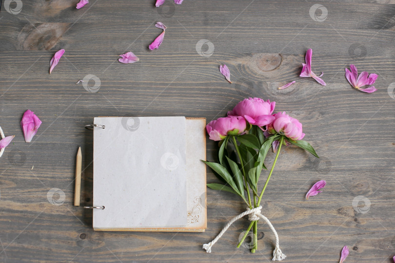 Скачать Винтажный фон, ручная работа. Розовый пион и старые ножницы, ленты, блокнот для текста. День матери. фотосток Ozero