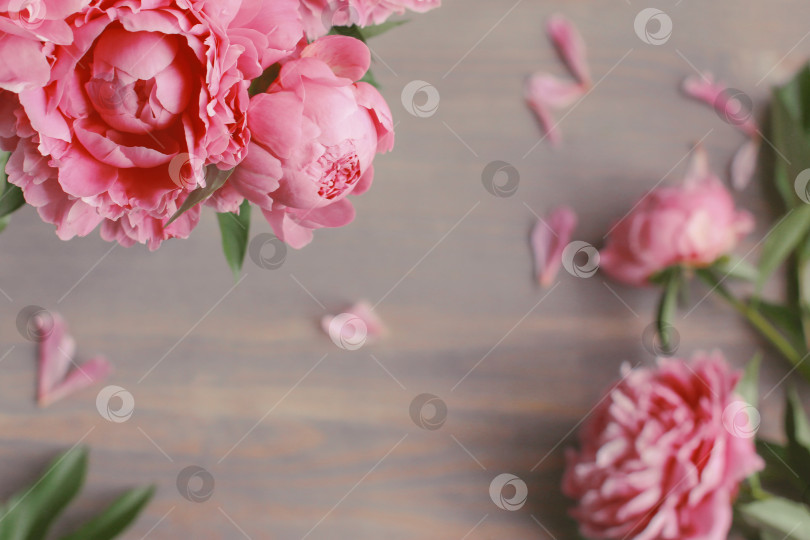 Скачать Цветочная композиция.  Цветы розового пиона на деревянном фоне. День матери. Плоская композиция, вид сверху. фотосток Ozero