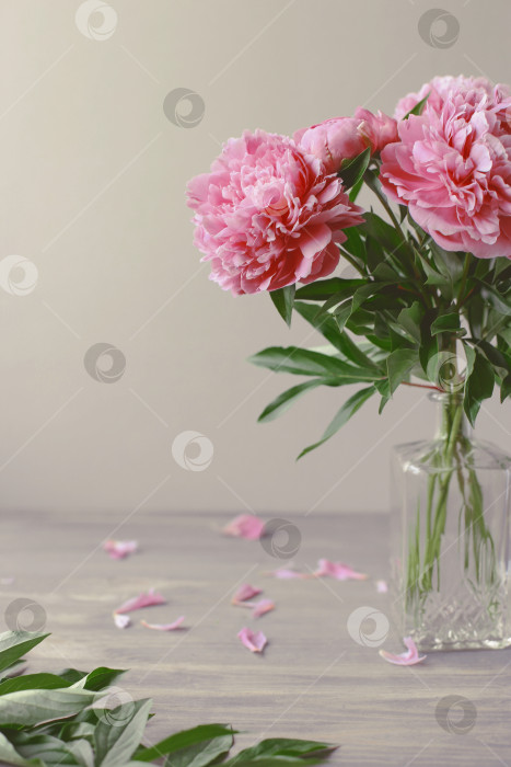 Скачать Цветочная композиция.  Цветы розового пиона на деревянном фоне. День матери. Плоская композиция, вид сверху. фотосток Ozero