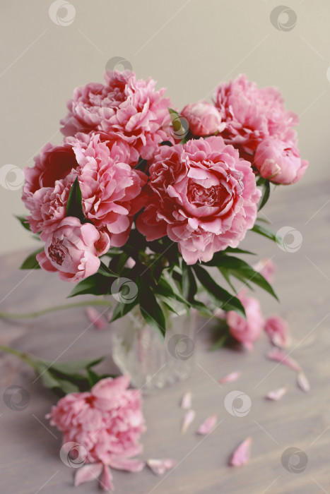 Скачать Цветочная композиция.  Цветы розового пиона на деревянном фоне. День матери. Плоская композиция, вид сверху. фотосток Ozero