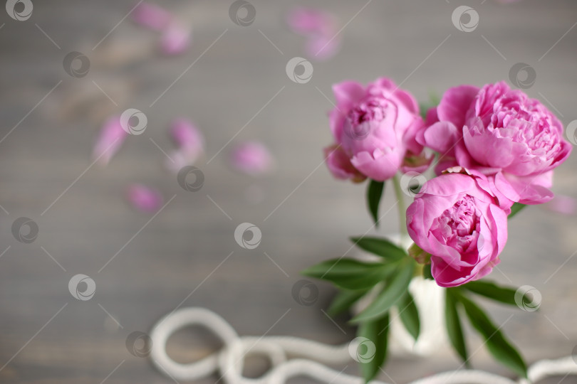 Скачать Цветочная рамка с розовыми пионами на деревянном фоне. День матери. фотосток Ozero