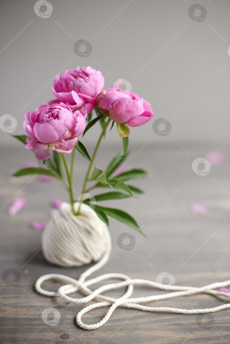 Скачать Цветочная рамка с розовыми пионами на деревянном фоне. День матери. фотосток Ozero