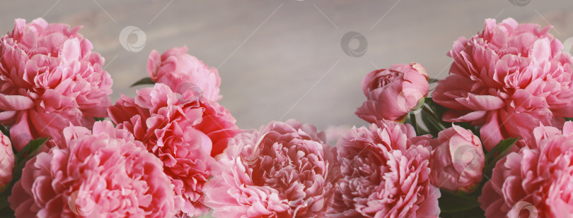 Скачать Цветочная композиция.  Цветы розового пиона на деревянном фоне. День матери. Плоская композиция, вид сверху. фотосток Ozero