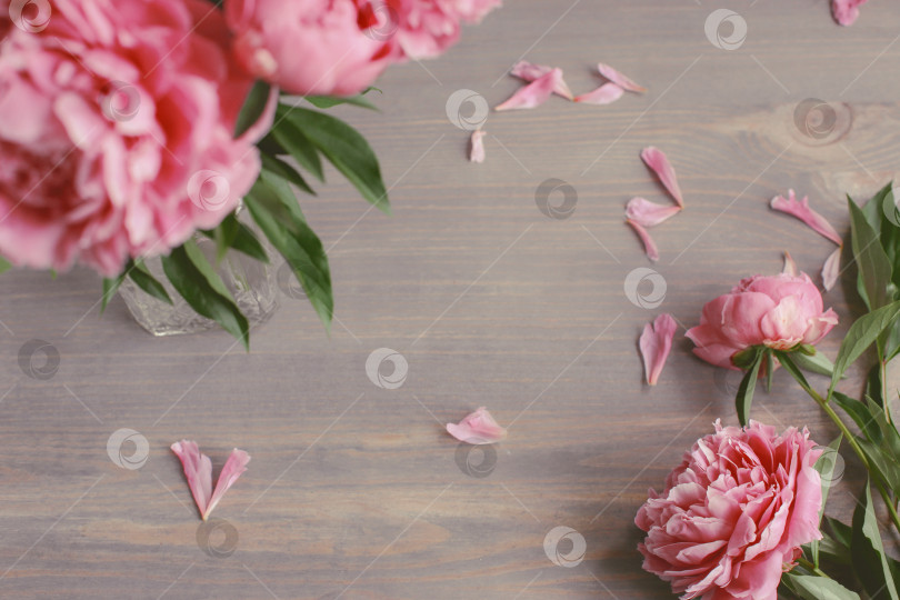Скачать Цветочная композиция.  Цветы розового пиона на деревянном фоне. День матери. Плоская композиция, вид сверху. фотосток Ozero