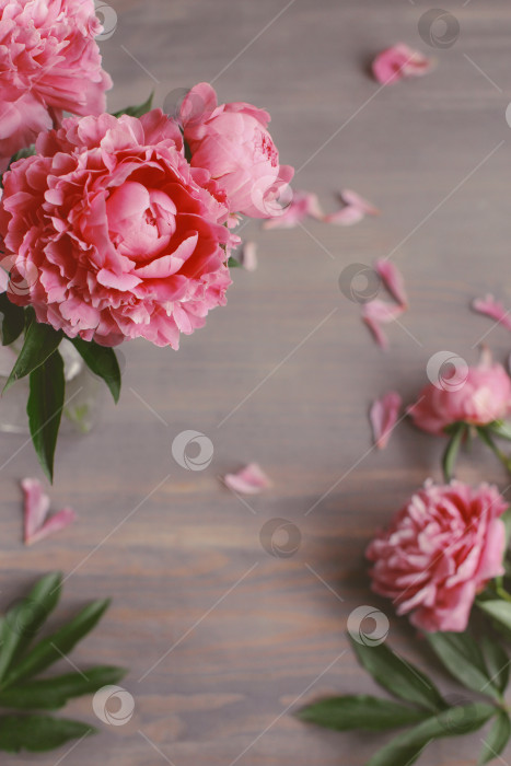 Скачать Цветочная композиция.  Цветы розового пиона на деревянном фоне. День матери. Плоская композиция, вид сверху. фотосток Ozero