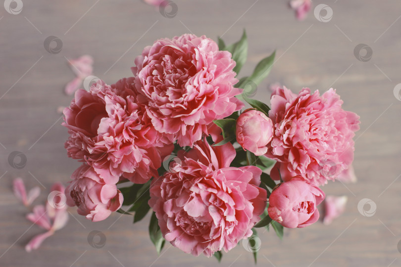 Скачать Цветочная композиция.  Цветы розового пиона на деревянном фоне. День матери. Плоская композиция, вид сверху. фотосток Ozero