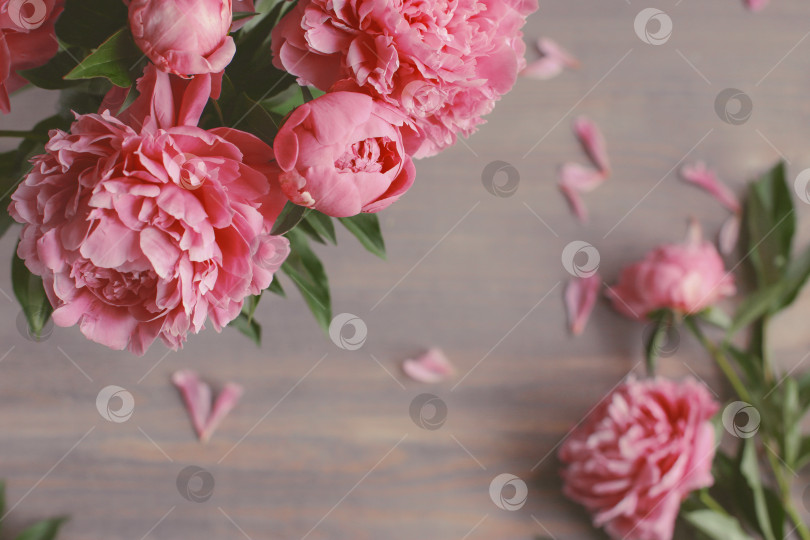 Скачать Цветочная композиция.  Цветы розового пиона на деревянном фоне. День матери. Плоская композиция, вид сверху. фотосток Ozero