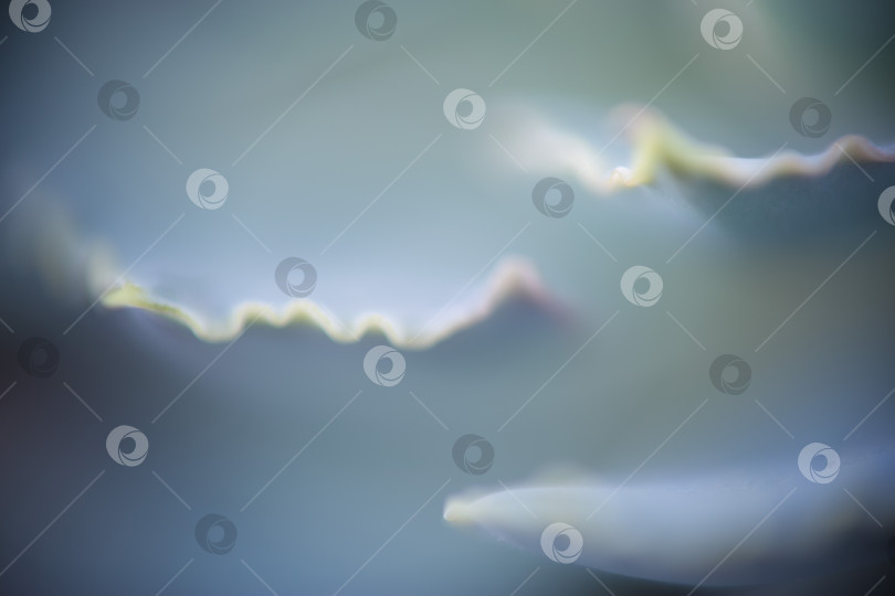 Скачать Абстрактный фон из их растений фотосток Ozero