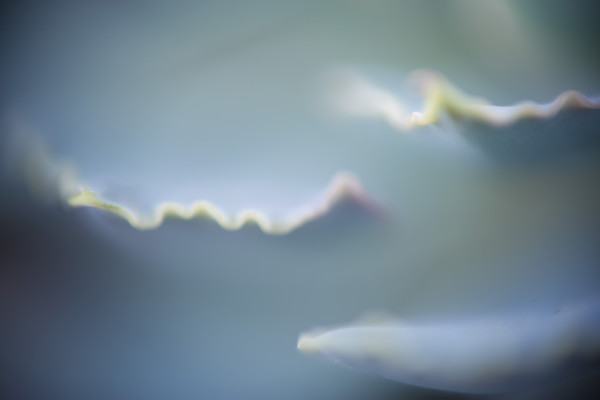 [object Object] undefined