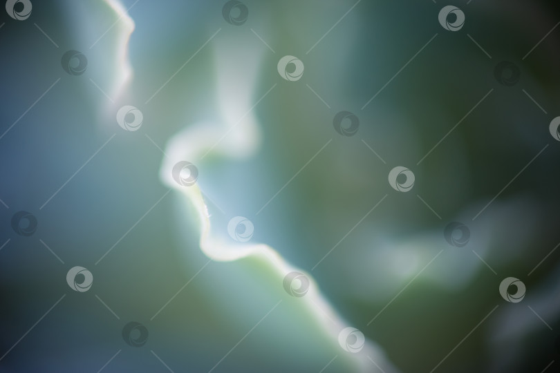 Скачать Абстрактный фон из их растений фотосток Ozero