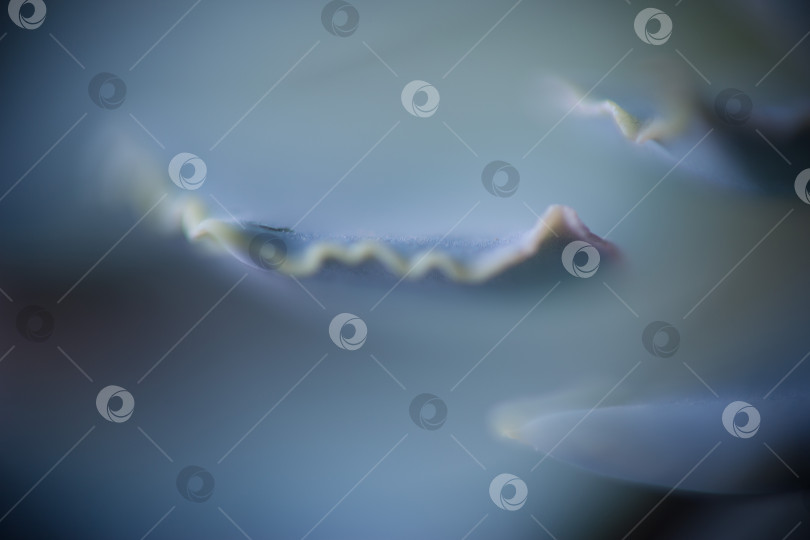 Скачать Абстрактный фон из их растений фотосток Ozero