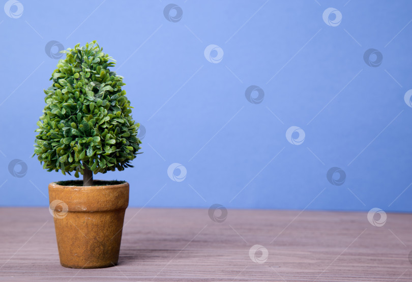 Скачать Игрушечные деревья в горшках фотосток Ozero