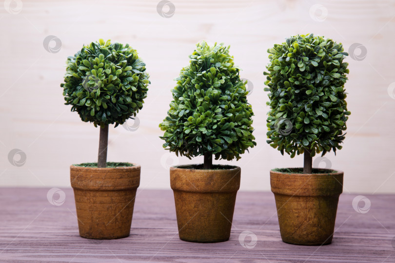 Скачать Игрушечные деревья в горшках фотосток Ozero