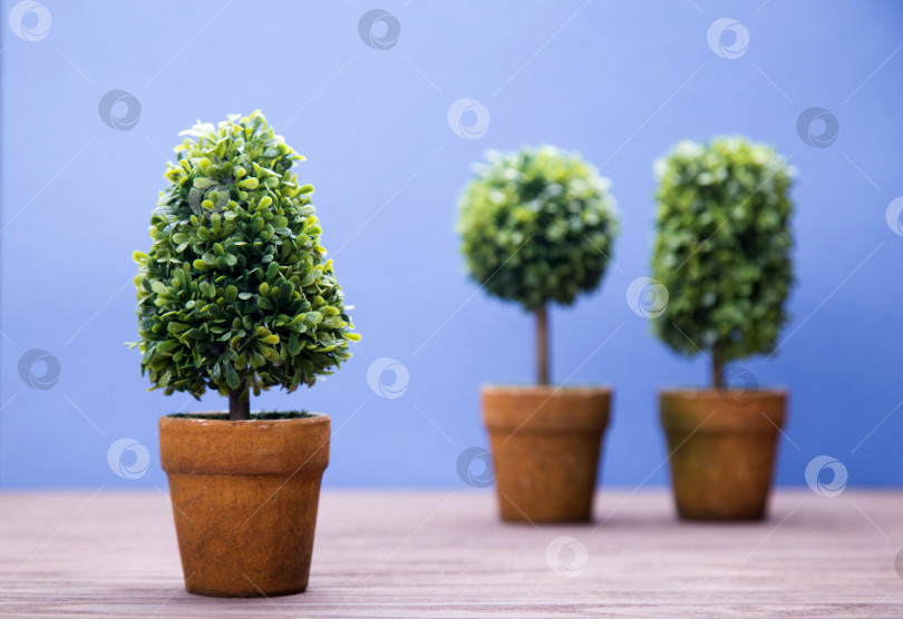 Скачать Игрушечные деревья в горшках фотосток Ozero