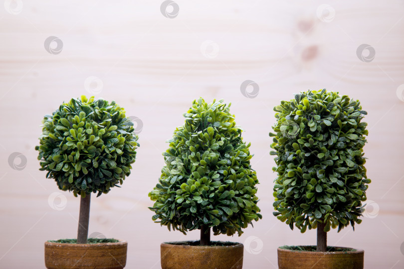 Скачать Игрушечные деревья в горшках фотосток Ozero