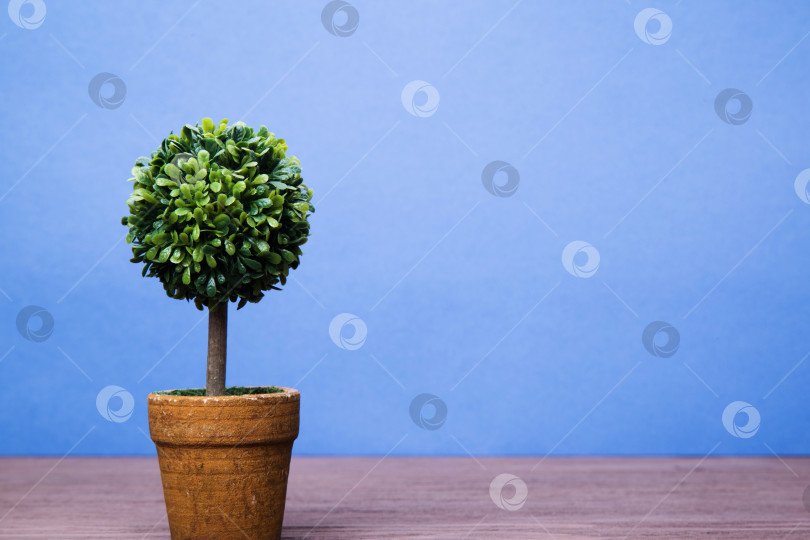 Скачать Игрушечные деревья в горшках фотосток Ozero